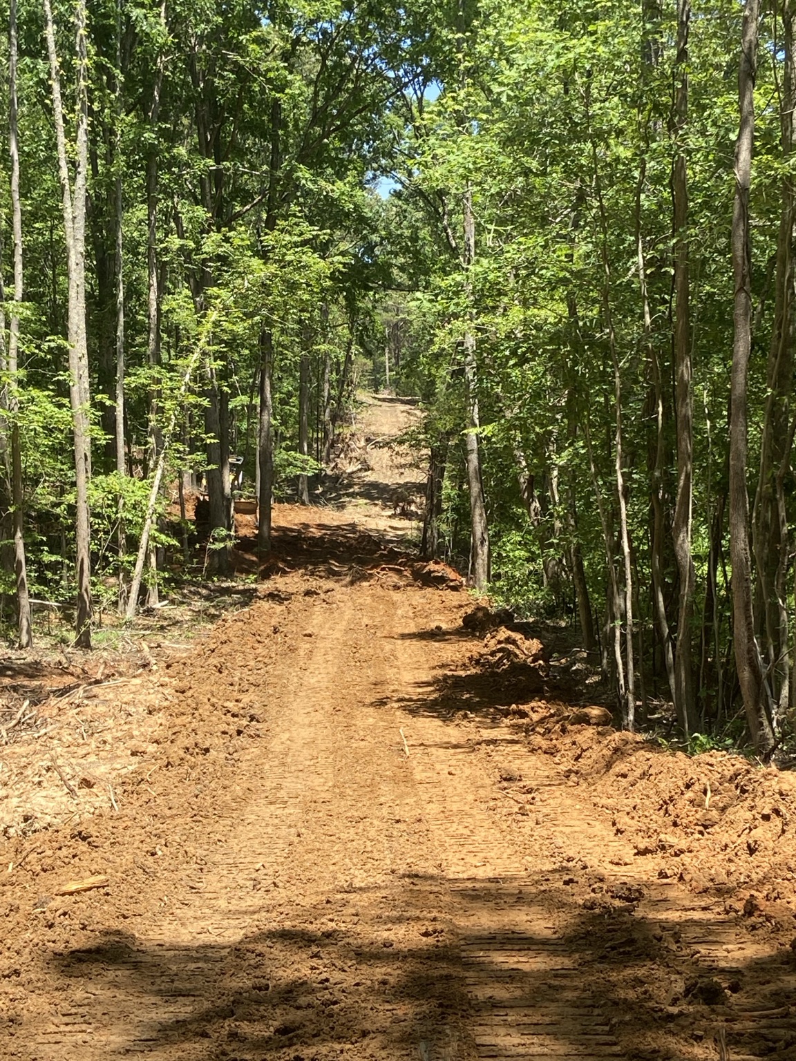 Land Clearing project by Circle A